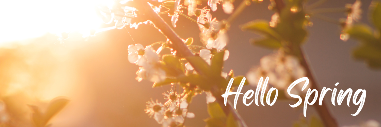 SPRING IS HERE Procare Services Ltd